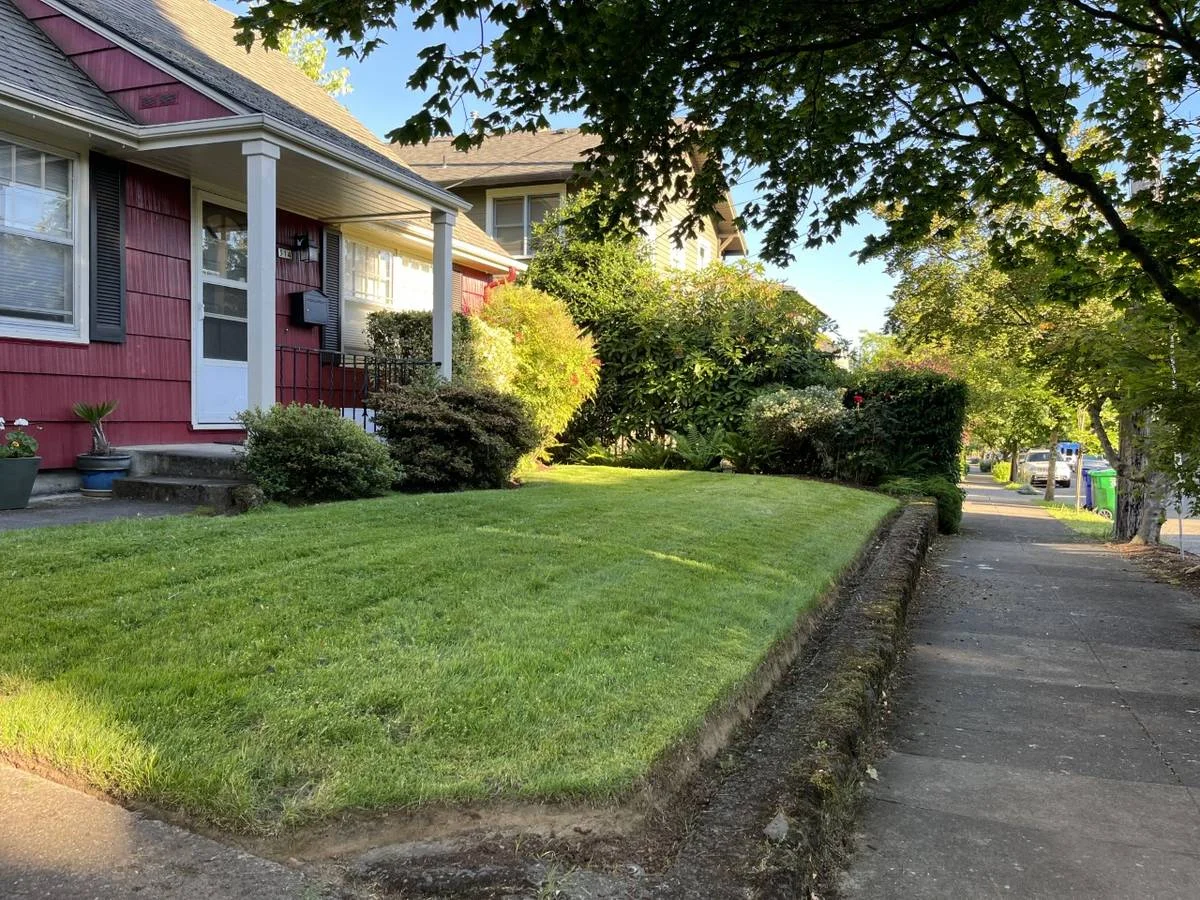 Freshly mowed and edged Portland front lawn at golden hour