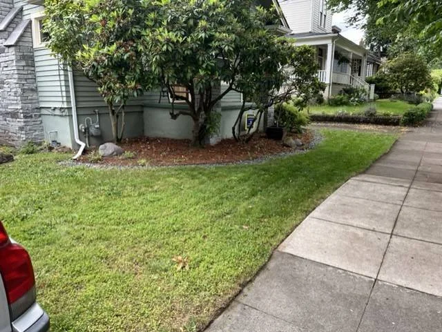 Freshly laid mulch bed with clean edging around foundation plantings